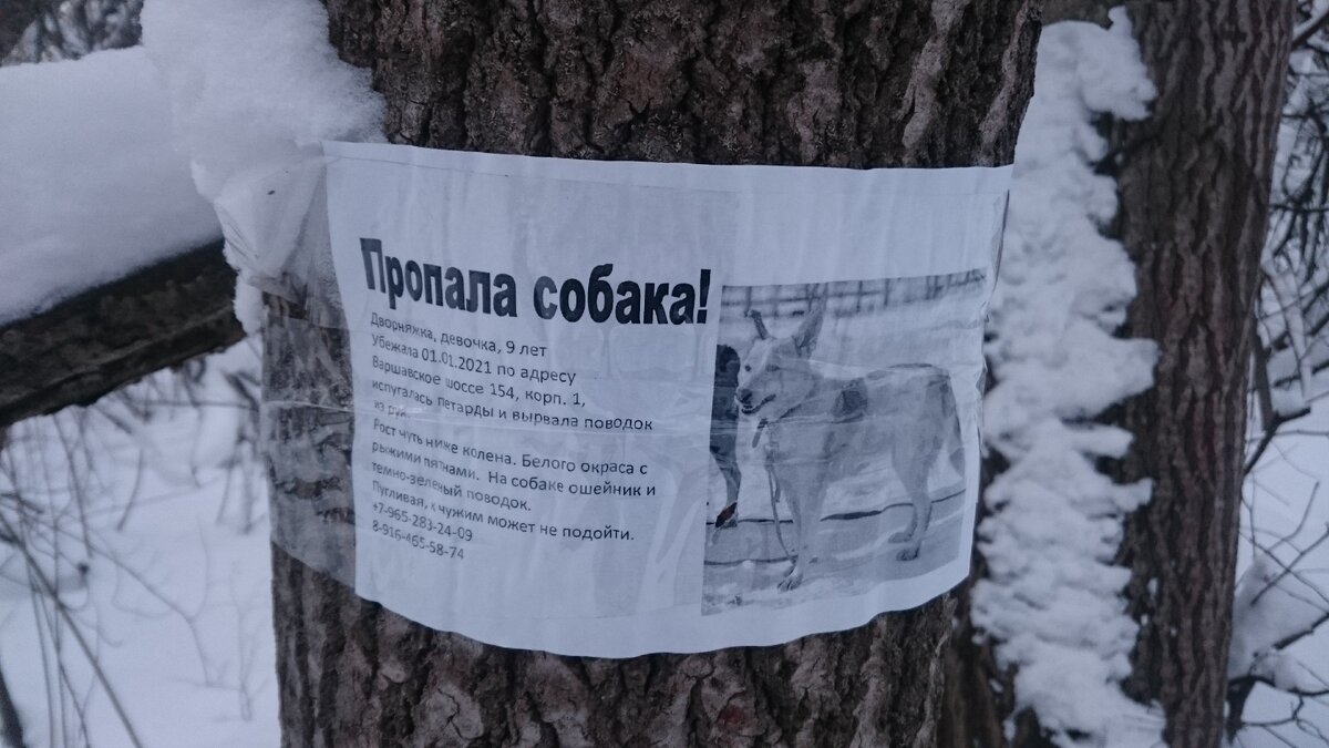 Фото автора. 