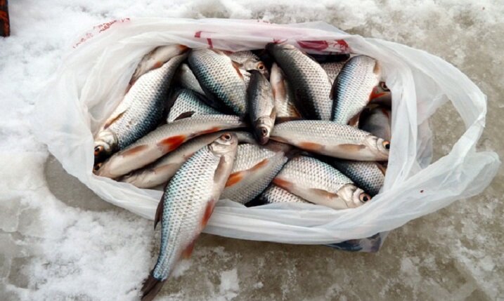 Добрый улов