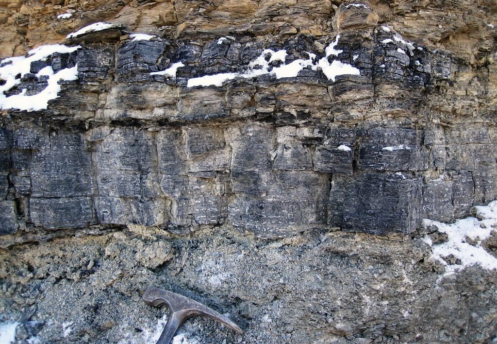 Прежде всего геологи ищут залежи ископаемого угля по внешним признакам