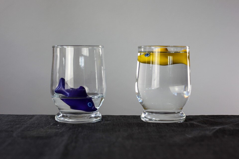 Фото с сайта pixabay.com