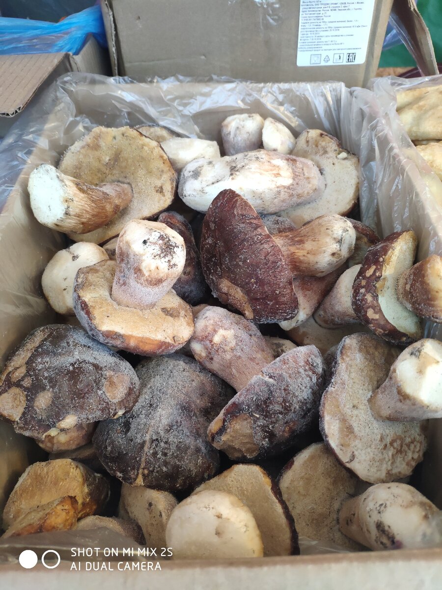 Мороженые боровики