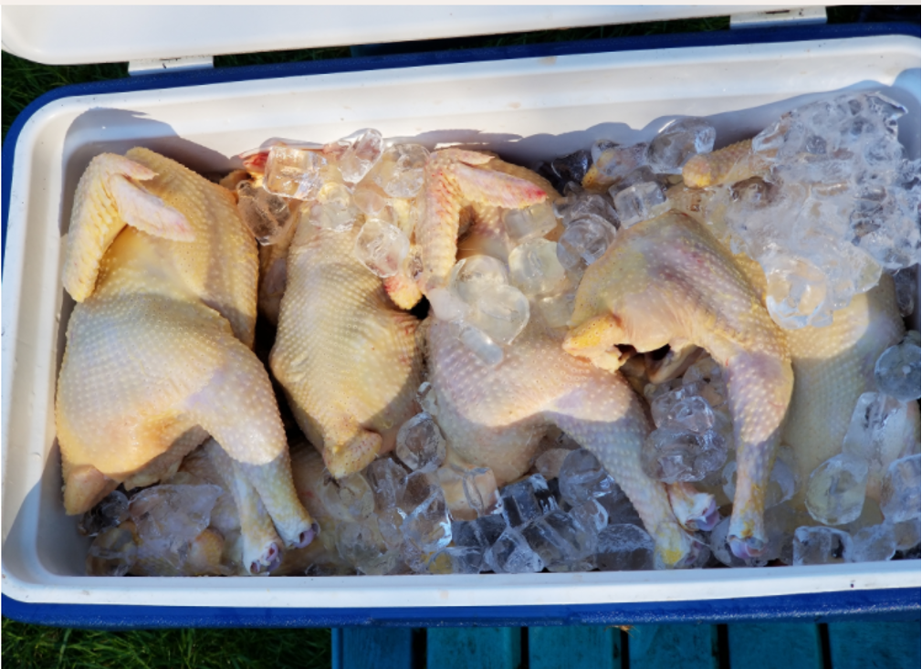 тушка цыплят корнишонов