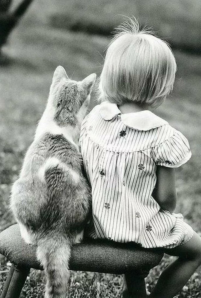 Фото из открытого источника