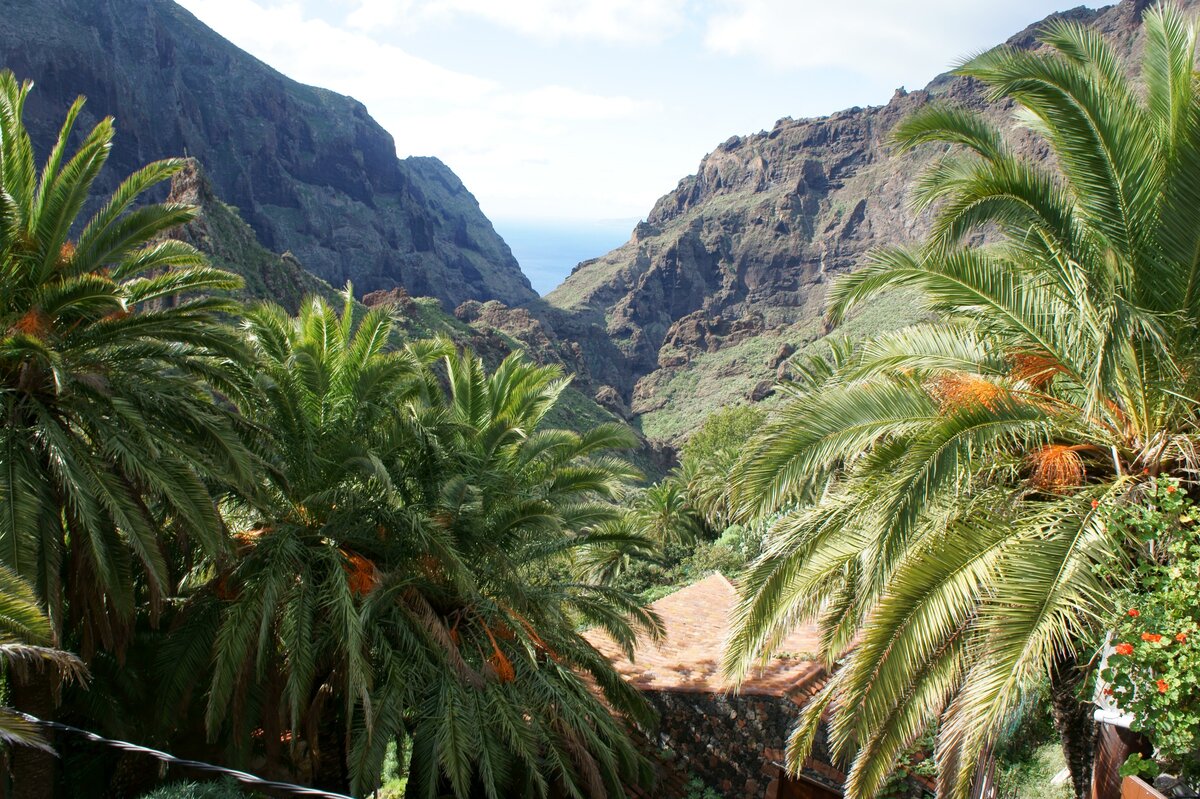 С балкончика кафе вид на ущелье