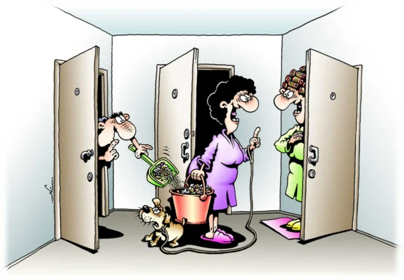 Фото из интернета.