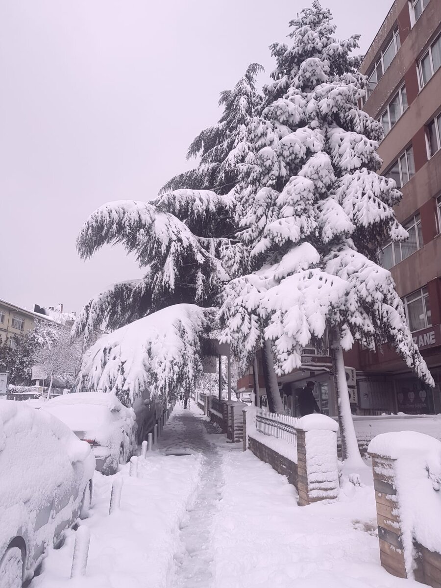 Стамбул. Утро 15.02. Район Этилер