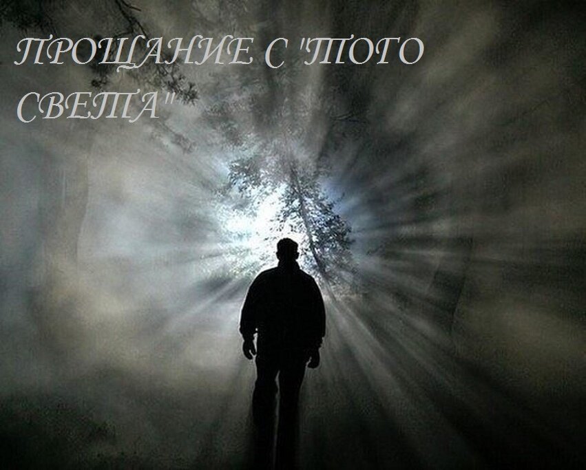 картинка автора
