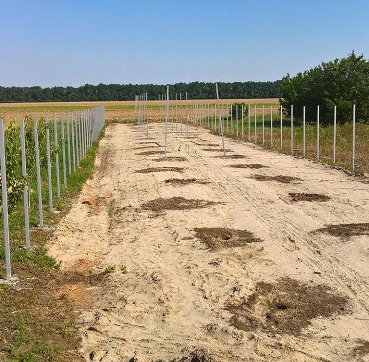 Начало работы