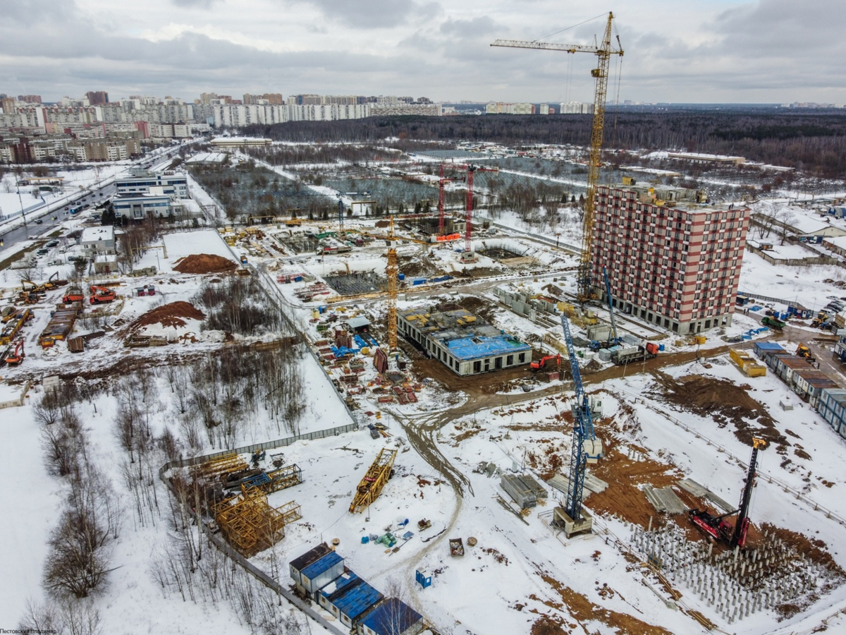 Салтыковская улица. Салтыковский парк Новокосино стройка. Косино и Новокосино. Новокосино лес. СК Косино ул Салтыковская.