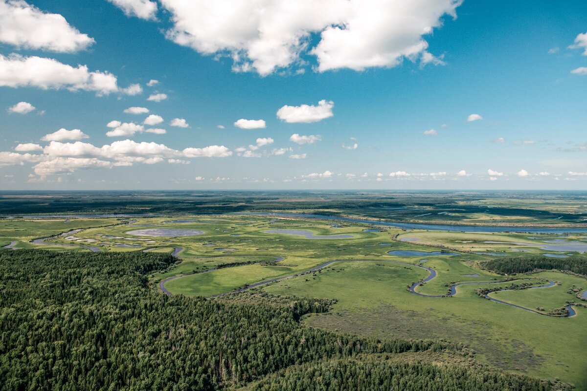 Рельеф западной сибири фото