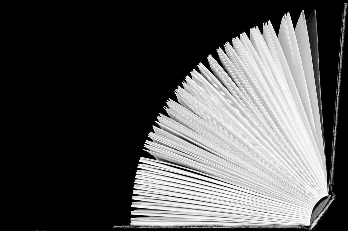    Книга.     #книга               Источник -изображение PublicDomainPictures с сайта Pixabay 