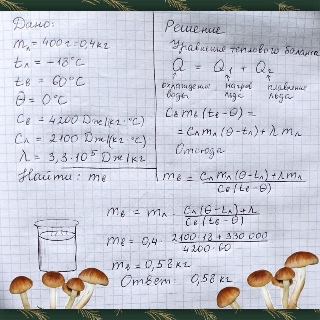 Решение задачи о разморозке опят горячей водой