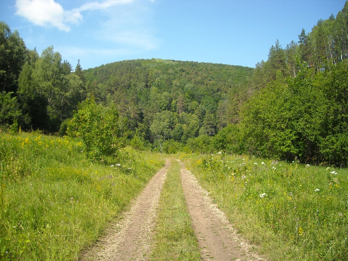 Ширяевский овраг