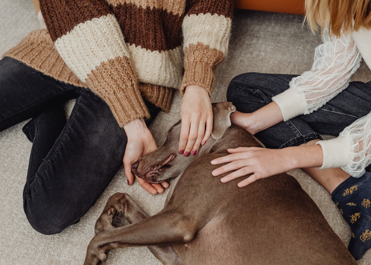 фотосток  Канва, обработано лично.