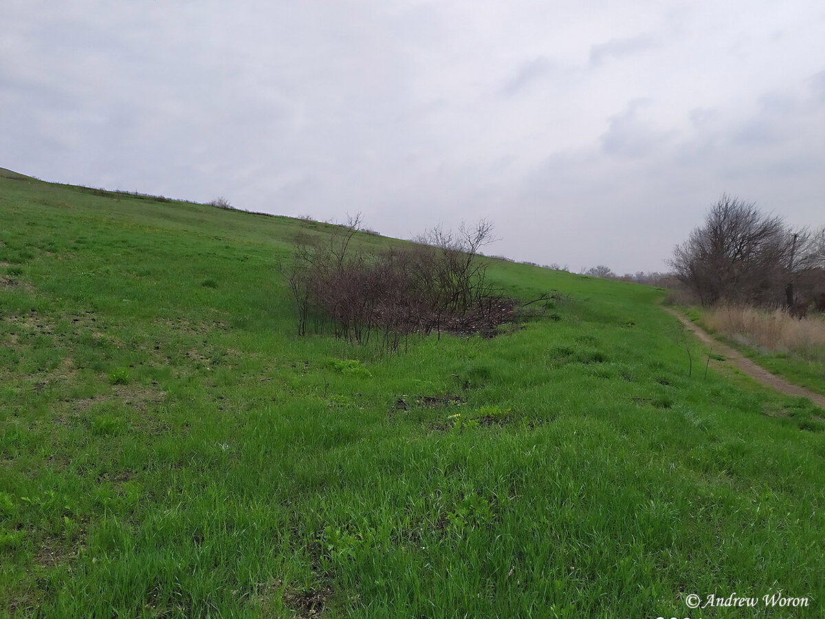 Склон холма со свежей зеленой травкой