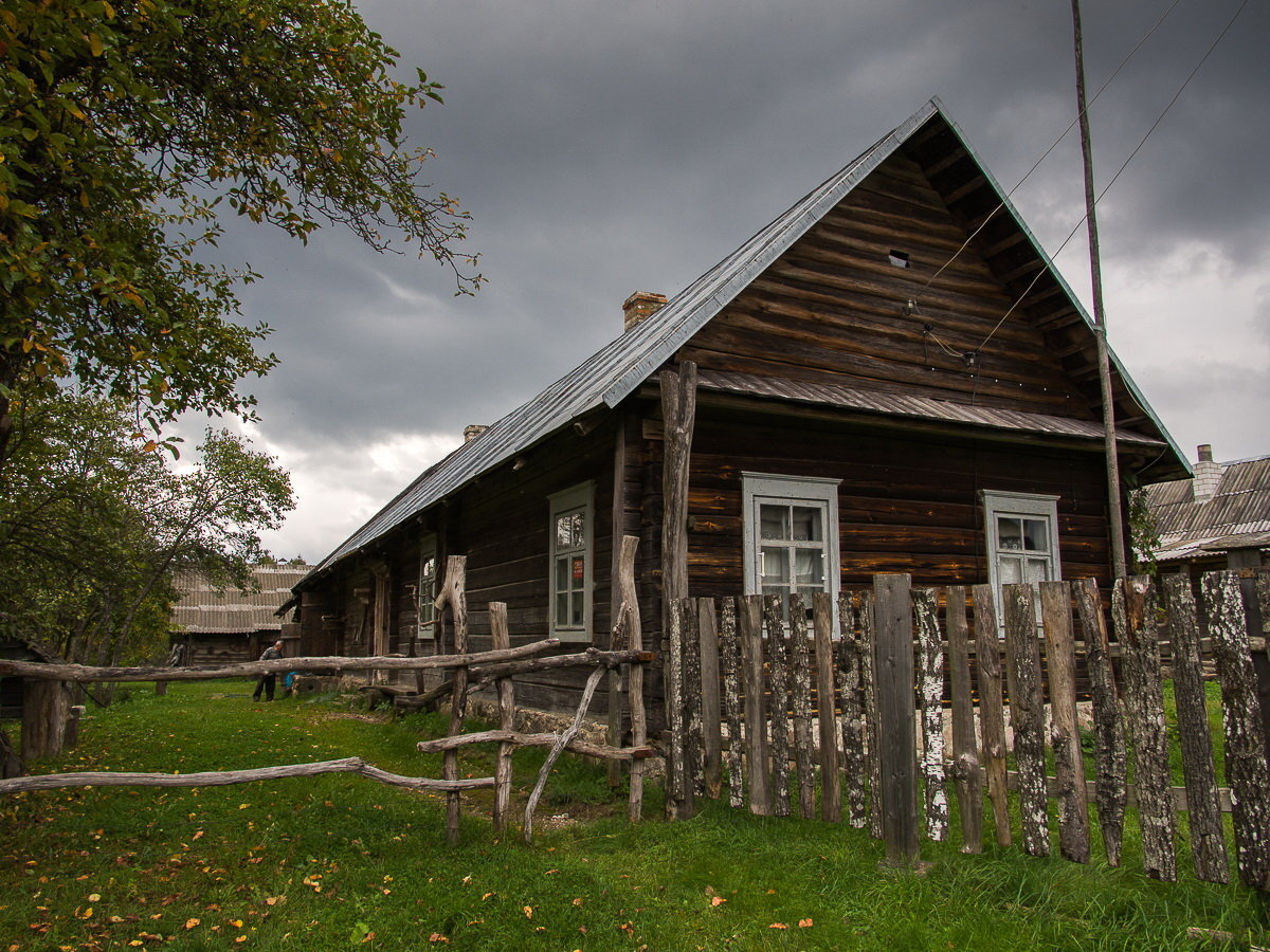 Яндекс картинки