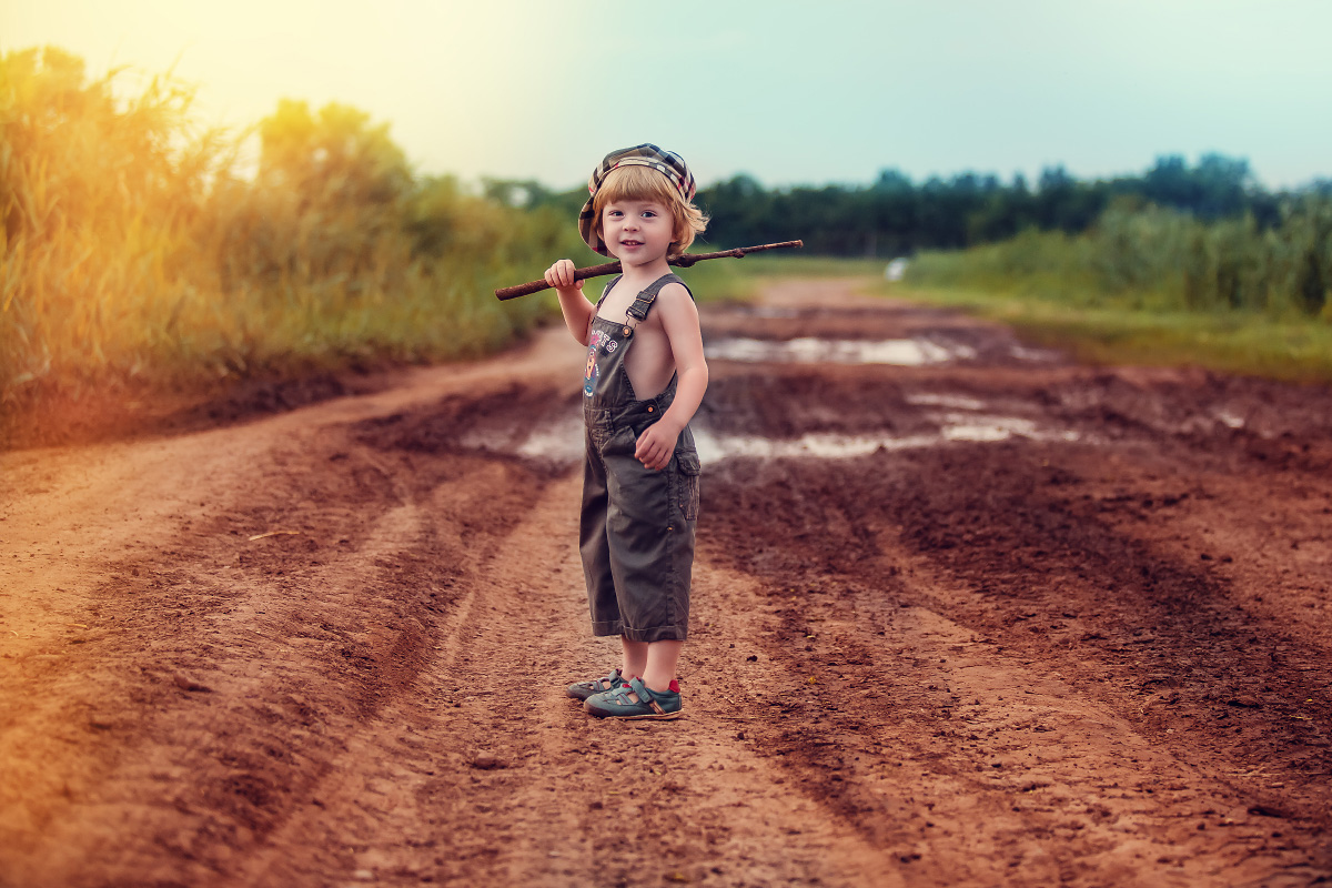 Яндекс Картинки