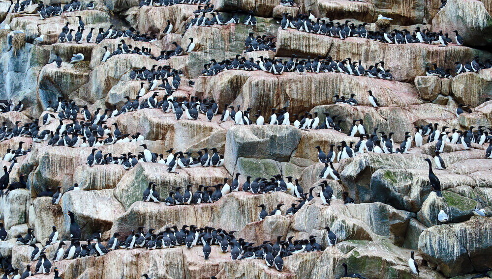 Трудно удержаться на своем месте
