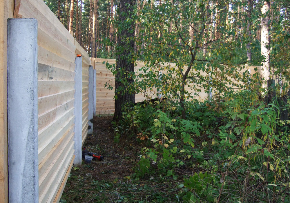 Забор со стороны леса