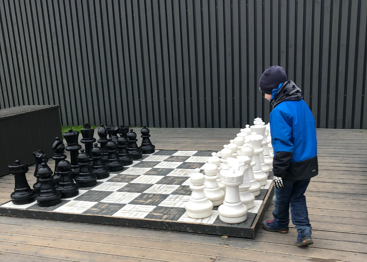 Те самые шахматы, которые нас не отпускали