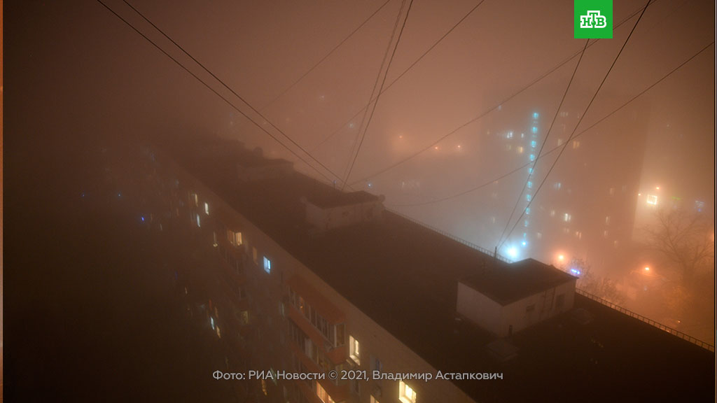 Яндекс Картинки. 