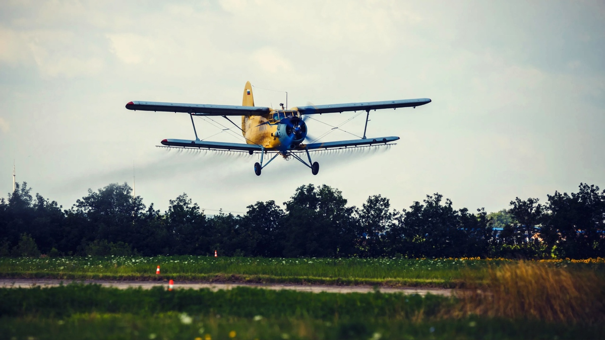 Работа ан 2. АН 2 авиахимработы. Ан2 сельхозавиации. Сельскохозяйственный самолет АН 2. Опрыскиватель на самолете АН-2.