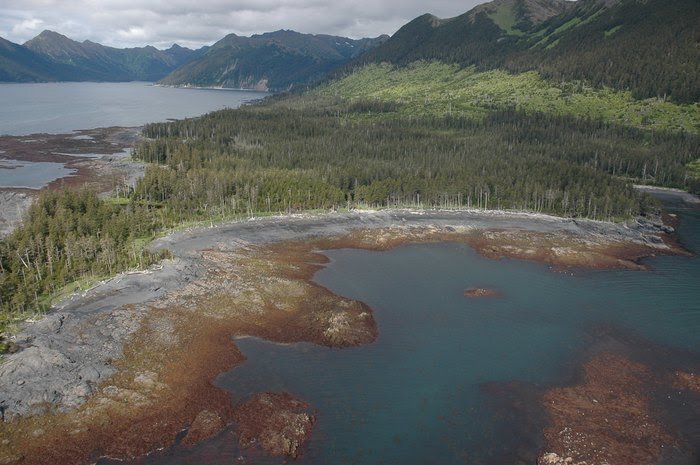 Flickr-библиотека NOAA