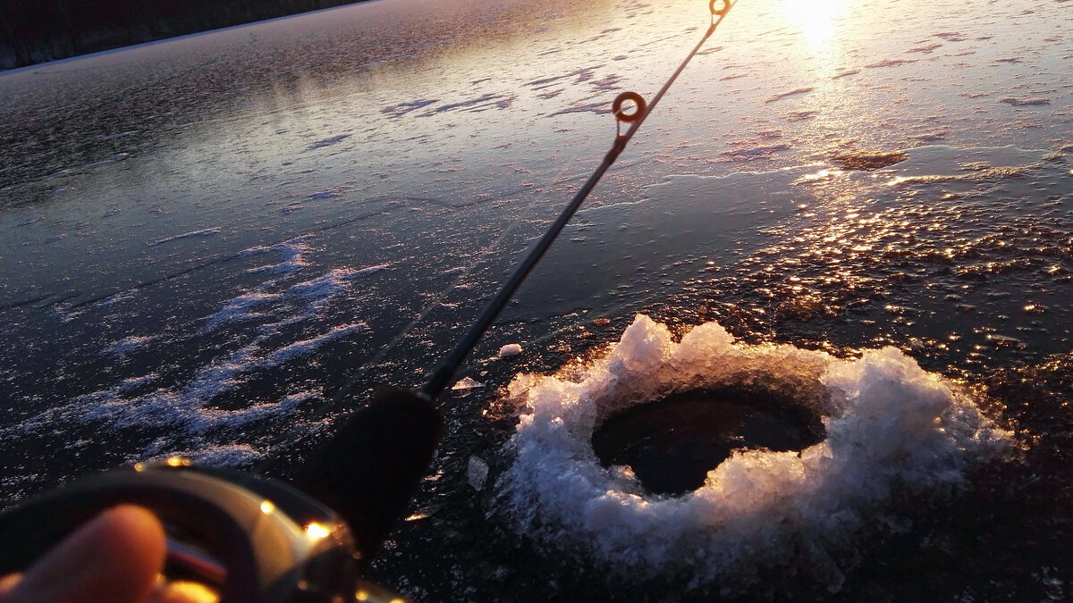 Источник фото: twitter.com