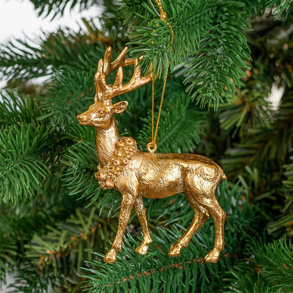 Фото из свободного доступа сети Интернет