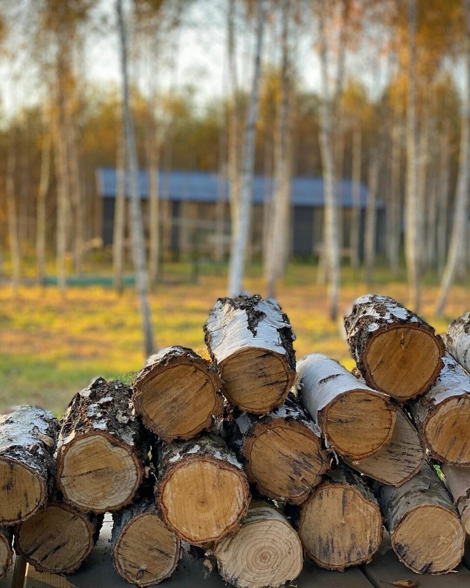 Загородный дом за неделю: как семья из Москвы воплотила мечты в реальность  и во сколько обошлось строительство и обустройство | DIVAN.RU | Дзен