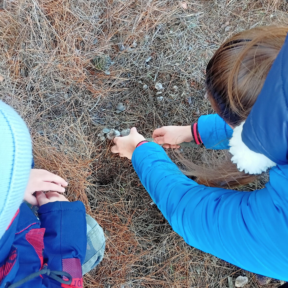 Вместе собираем грибы))