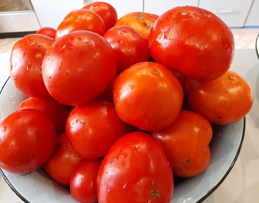 томат дед лева характеристика и описание. томат дед иван.