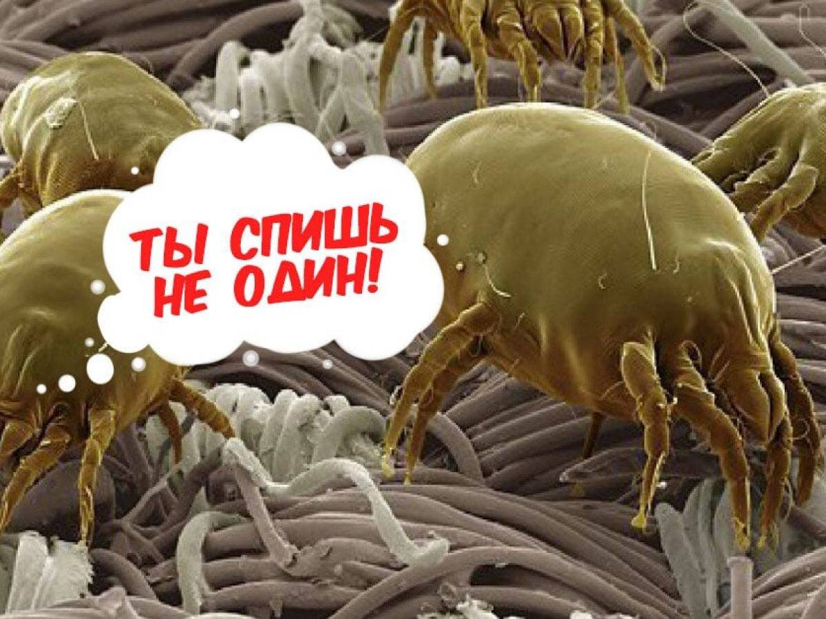 Опасные соседи