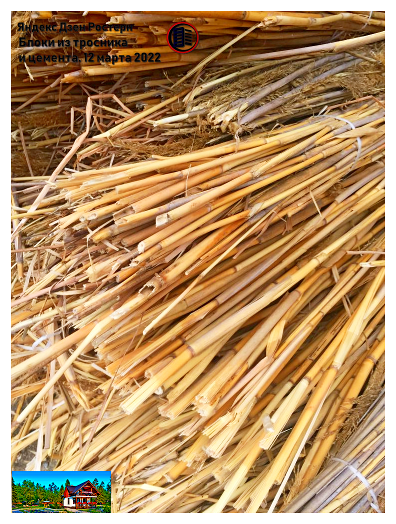 процесс изготовление блоков из тростника и цемента
