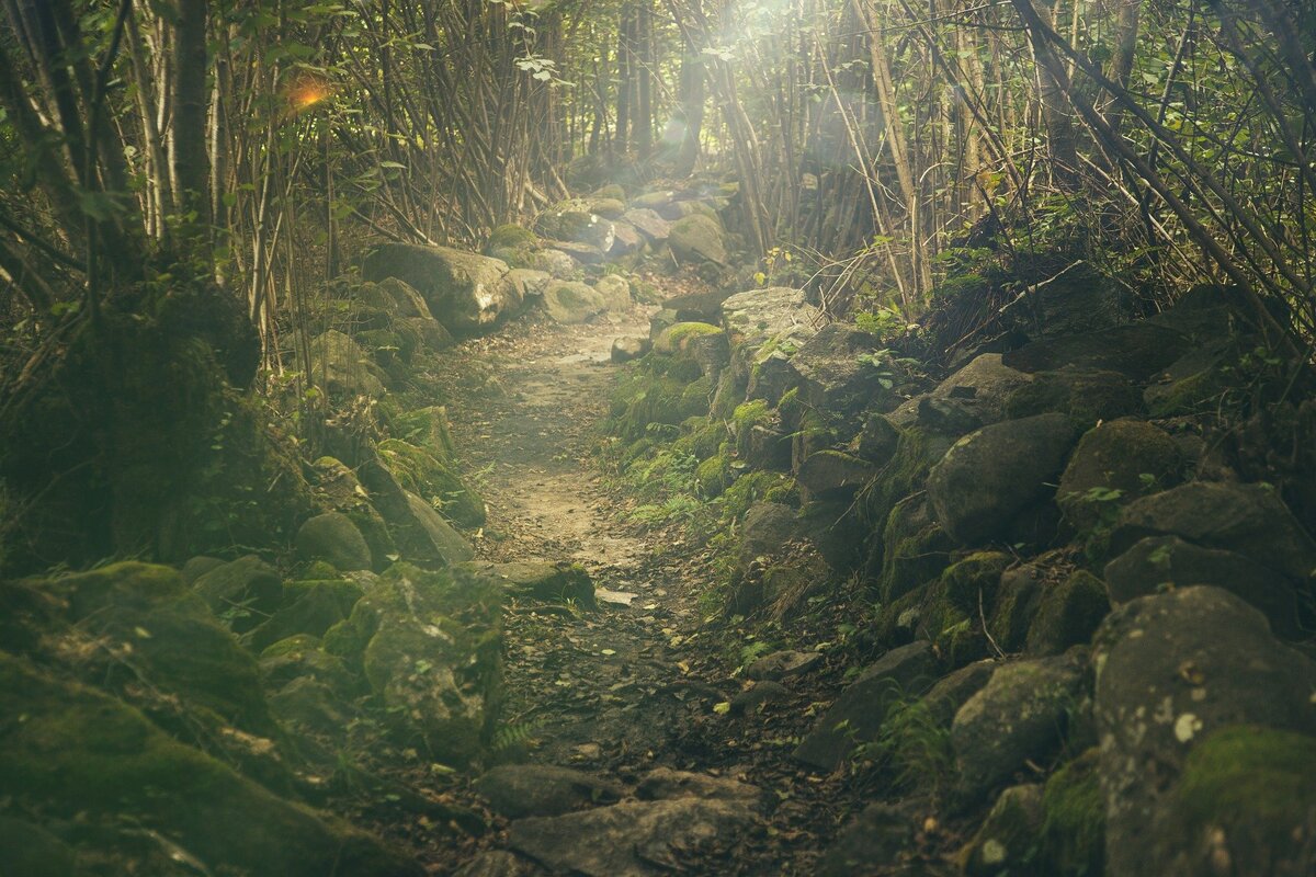 Фото с сайта Pixabay 