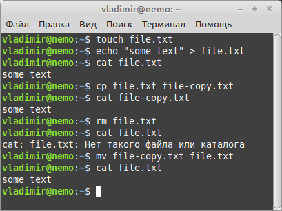 Результат выполнения команд в Linux Mint 20.3