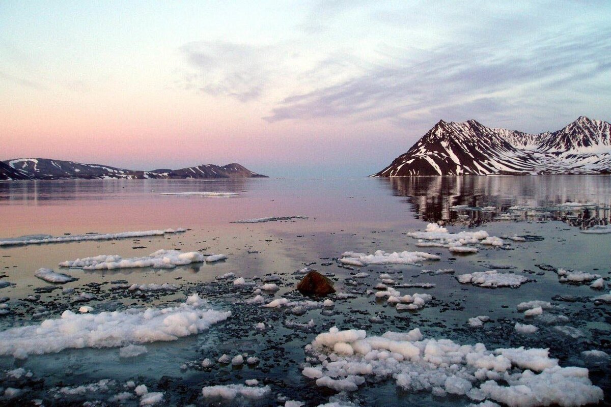 Остров Врангеля и остров Геральд http://www.ostrovwrangelya.org/