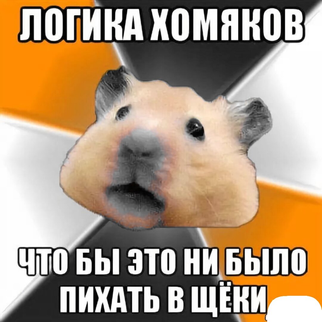 Защитная логика хомяков. А мы и пихаем! 