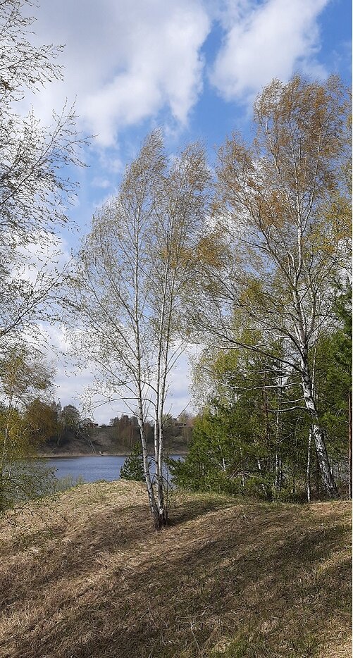 Фото автора.