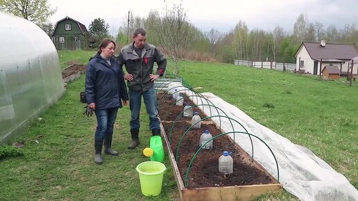 Сделали всё для небывалого урожая овощей ! Огородные работы продолжаются.