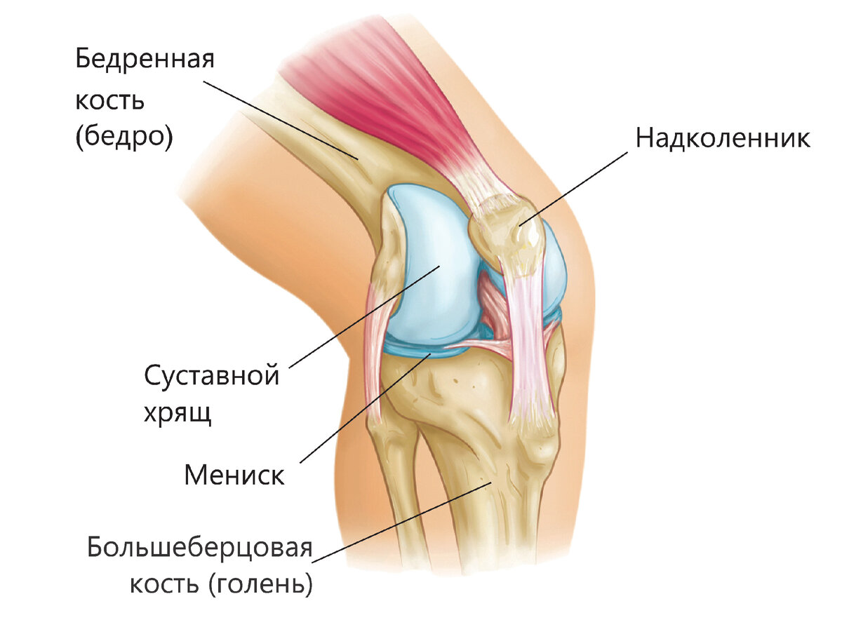 Фото: nemedicine.blogspot.com