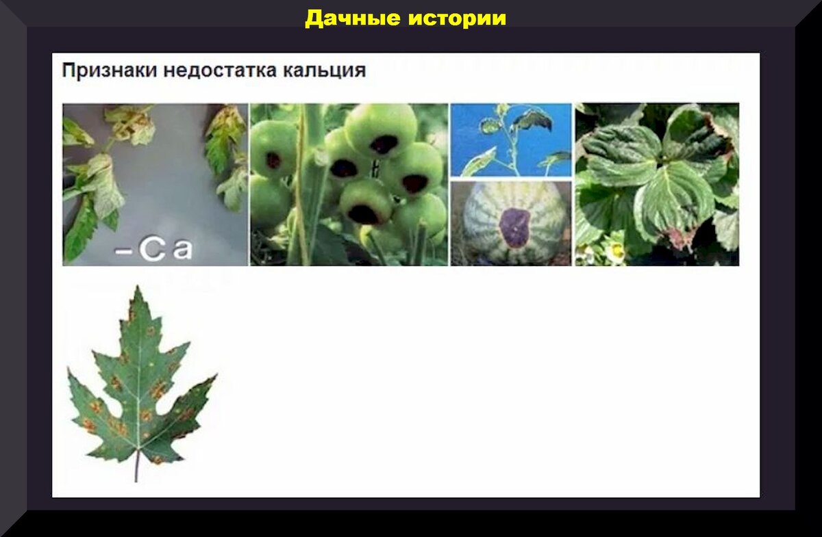 https://vk.com/photo-159774511_457254093