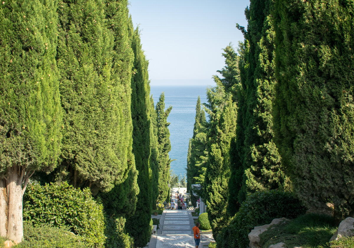 Партенит. Парк Айвазовского - Парадиз. Верхний парк. Центральная лестница Раевского. Лестница Искусств вид сверху. Фотография автора статьи.