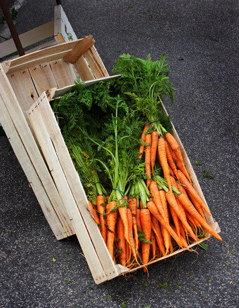 Морковка в ящиках