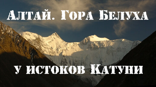 Заповедник у истоков Катуни. Медведь копает красный корень. Маралы, лоси, косули. Мультинские озёра. Тальмень. Водопады. Золотой корень.