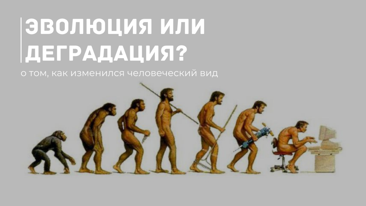 Высшее развитие человека. Эволюция Дарвин хомо. Хомо сапиенс Эволюция. Human Evolution Эволюция человека. Эволюция человека Дарвина цепочка