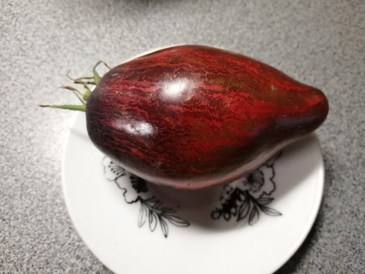 Томатомания. Томат "Восставший звездный истребитель" | АгроФеечка | Дзен