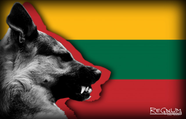    Литва Иван Шилов © ИА REGNUM