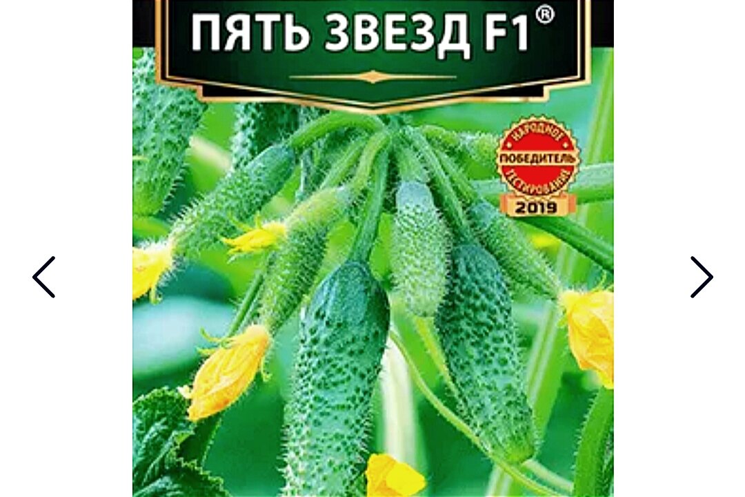 Огурцы пять звезд описание сорта фото отзывы