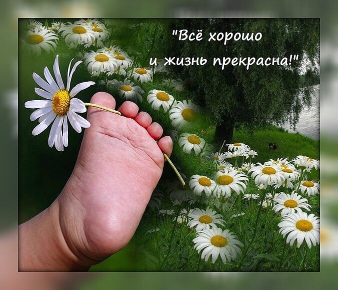 Жизнь прекрасна как ни крути картинки с надписями